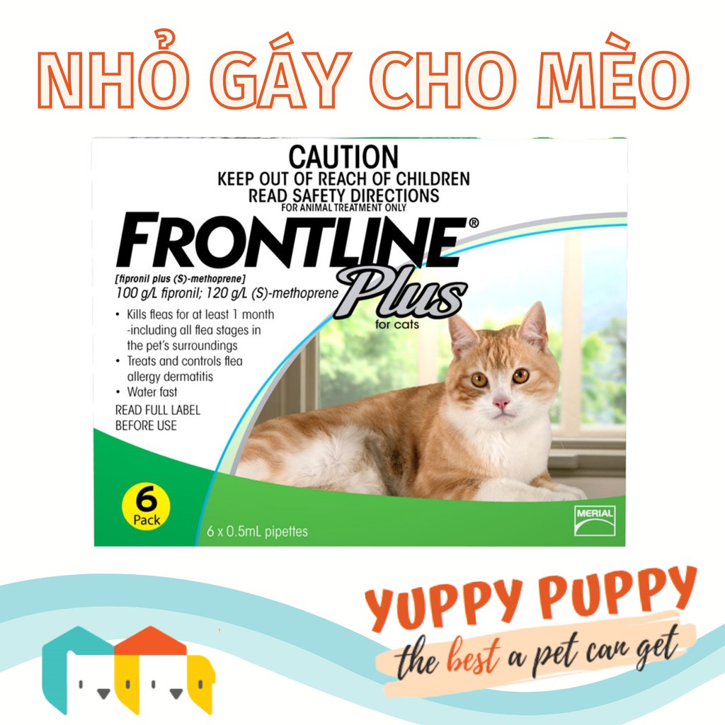 [𝐁𝐋𝐀𝐂𝐊 𝐅𝐑𝐈𝐃𝐀𝐘 𝟏𝟎%  𝐘𝐔𝐏𝐏𝐘𝐁𝐅] Frontline Plus Mèo Thuốc nhỏ gáy phòng trị ve rận cho mèo