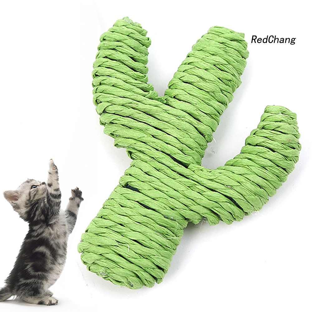 Cây Xương Rồng Đồ Chơi Mềm Cho Mèo