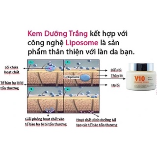 Kem V10 skinaz