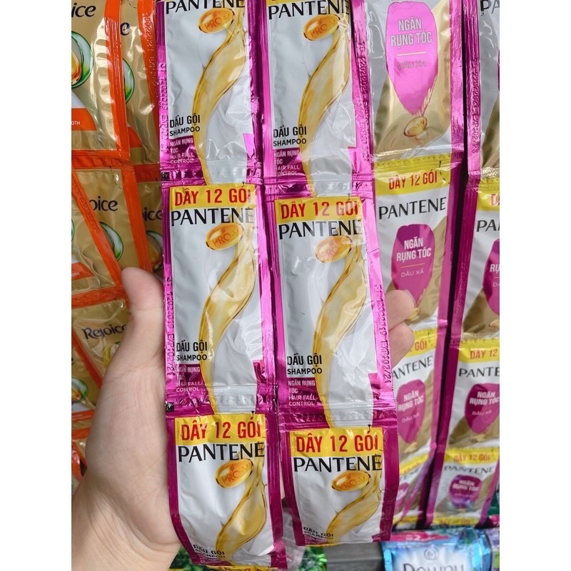 Dây gội xã pantine