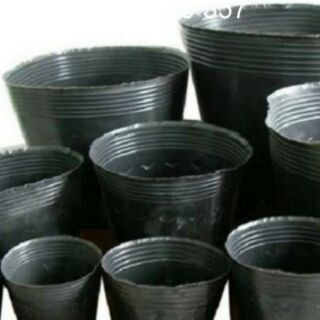 1 kg Bầu ươm cây nilon