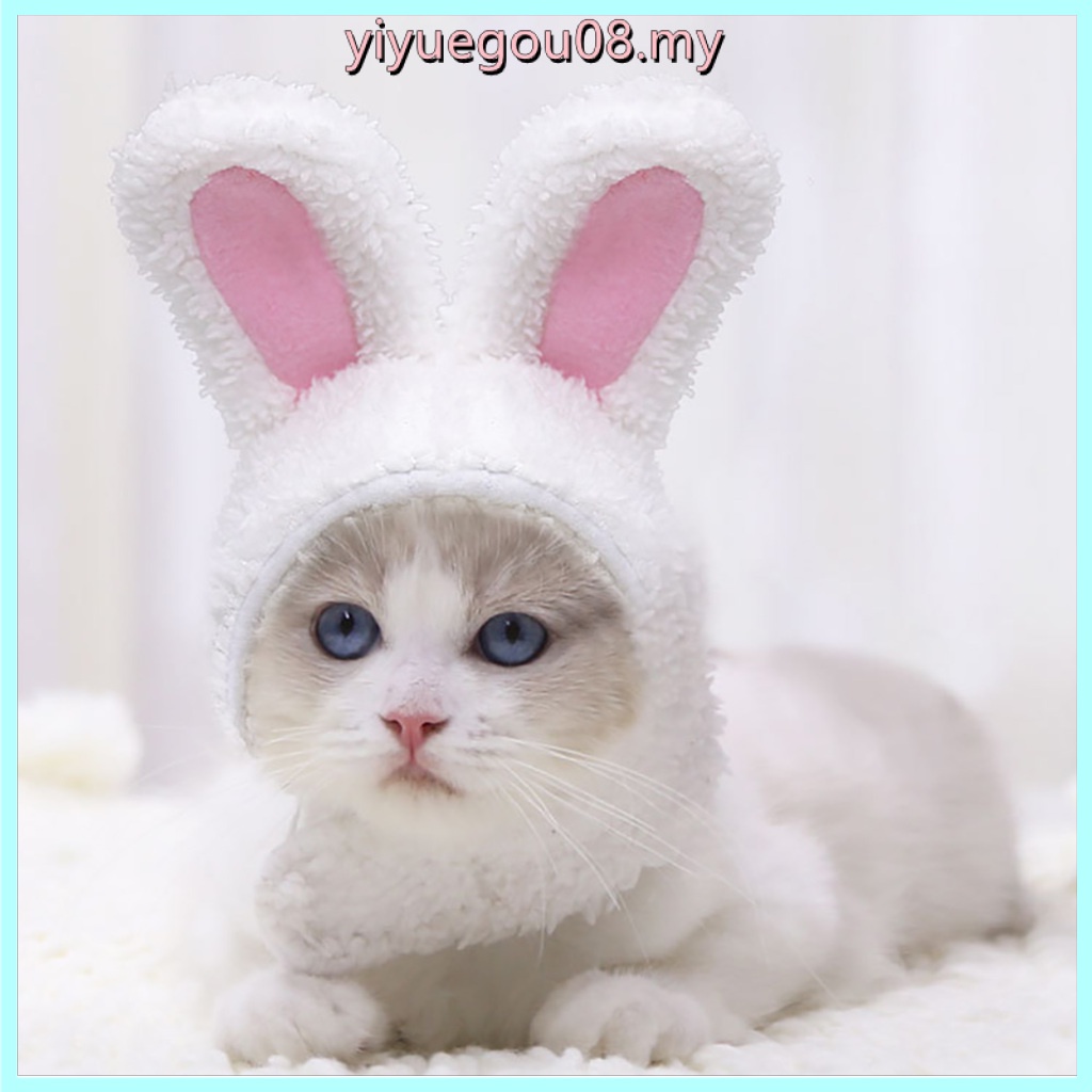 Y8- Mũ len Cotton ấm áp hình thỏ trắng dễ thương điều chỉnh được thoải mái cho thú cưng