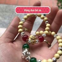 Hạt dau cành xịn 100% rất đẹp