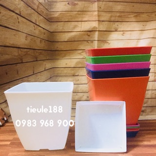 Combo 6 bộ chậu vuông kèm đĩa size 25cm