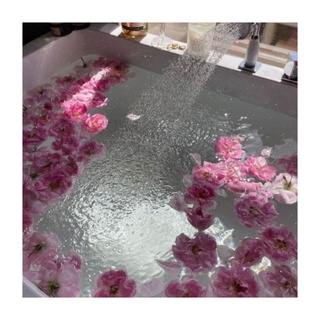 Mẫu thử nước hoa 10ml Diptyque Eau Rose