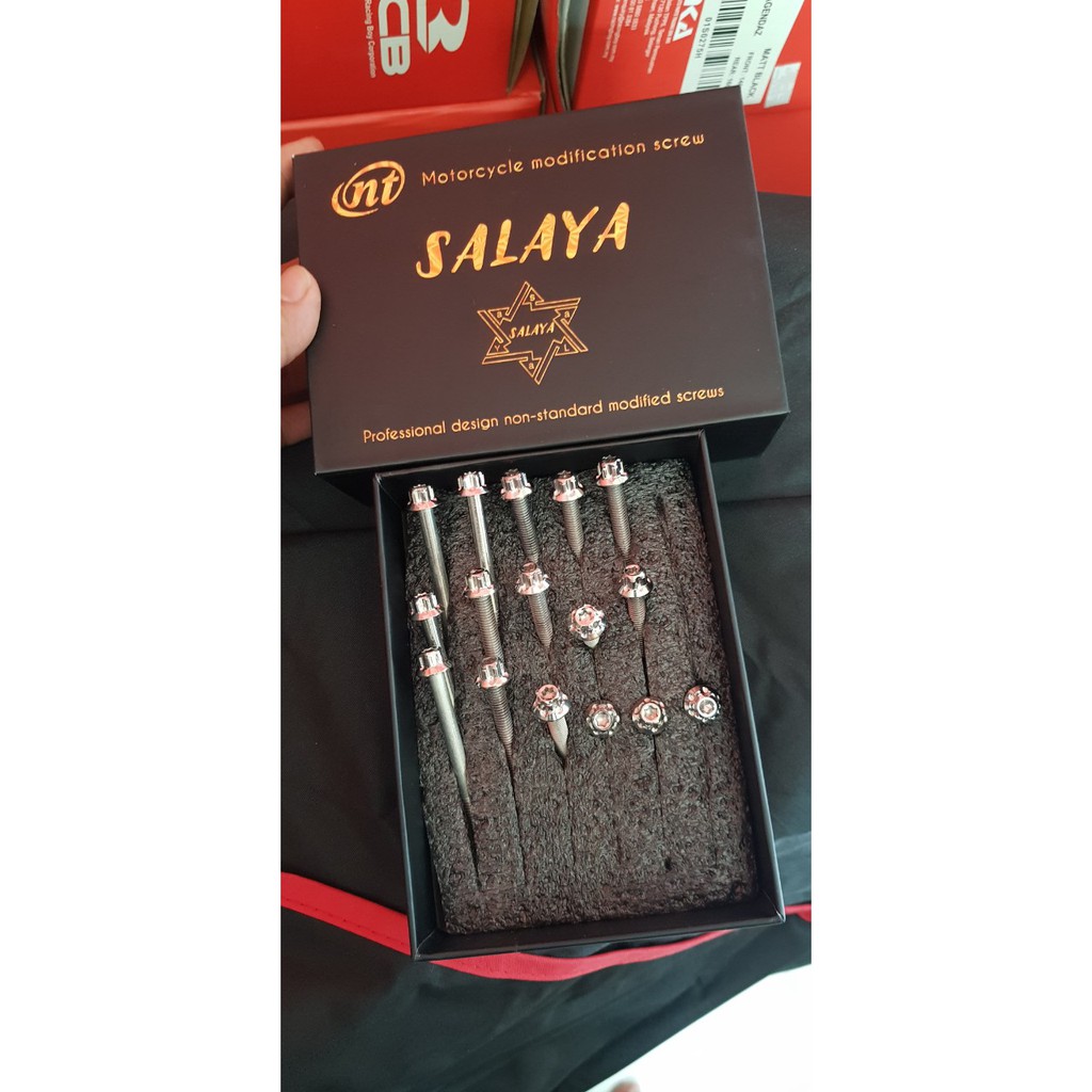 Bộ ốc lốc máy gắn xe EX 135 - EX 150 hàng chuẩn SALAYA ( 24 con ) - Kiểu dáng cứng cáp - Lắp đặt dễ dàng