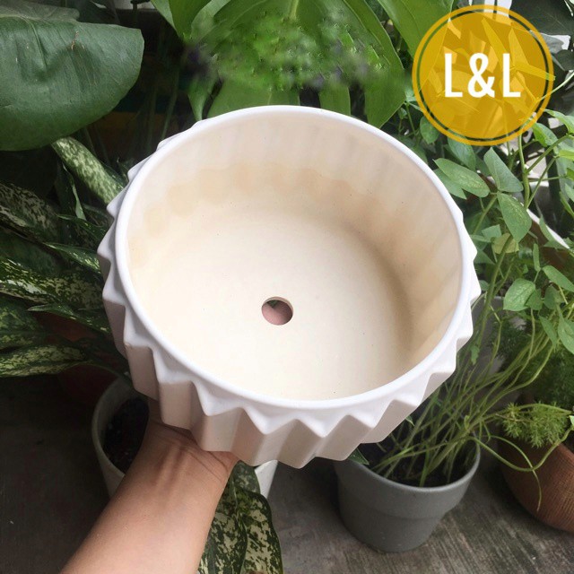 Chậu sứ Bát Tràng Hình Khía cạnh thấp trồng cây Để Bàn, Cây Nội Thất, Sen Đá, Xương rồng
