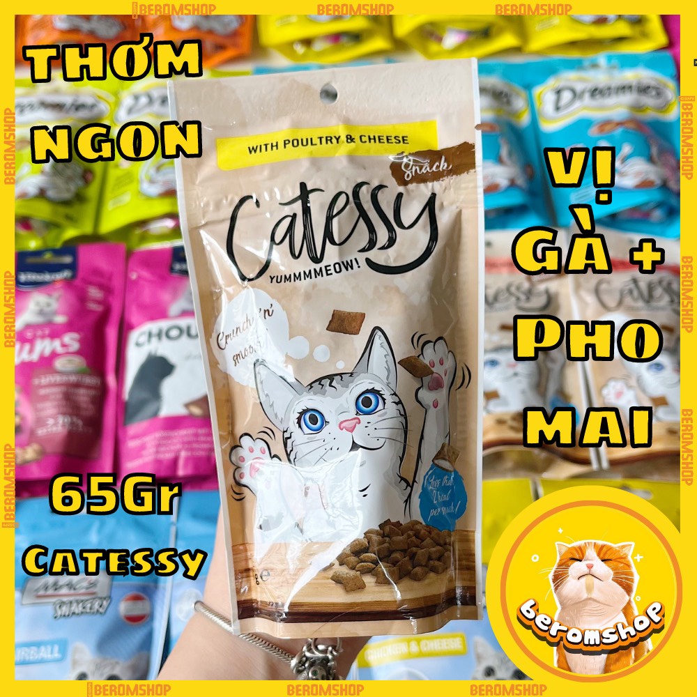 BÁNH THƯỞNG CHO MÈO CATESSY 65G 3 VỊ NHẬP ĐỨC GIÁ CỰC RẺ