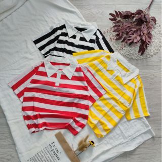 Áo croptop cổ bẻ kẻ sọc, hình thật shop tự chụp