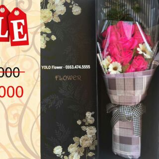 Hoa sáp Hàn quốc