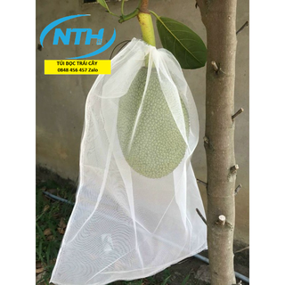 100 CÁI TÚI LƯỚI DÀY 2 LỚP BAO BỌC MÍT THÁI KÍCH THƯỚC 50*70