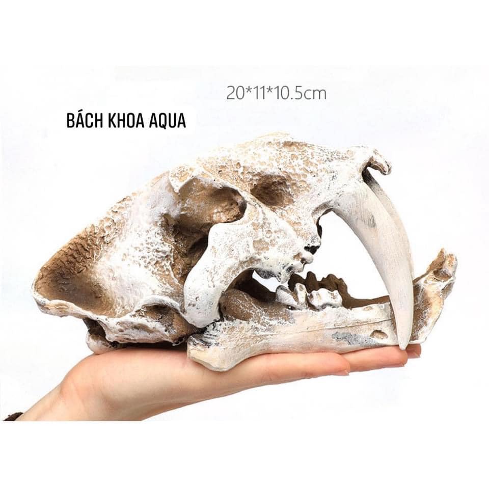 Tượng đầu Hổ 2 nanh đủ size trang trí bể cá