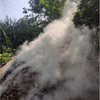 vỏ lạc hun trồng cây cảnh