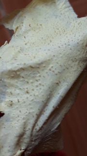 GEL LỘT MỤN NGHỆ TƯƠI
