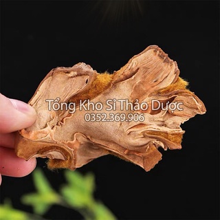 Cẩu tích chưa chế 100g (Cây lông culi giảm tiểu đêm, mạnh gân cốt)