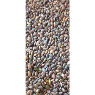 200 gram hạt bồ kết
