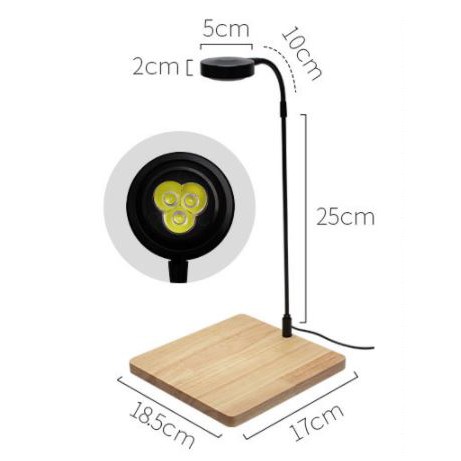 { Kèm 04 hít nâng đế) Đèn đế gỗ 3W, 5W, 7W 9W dùng cho bể Terrarium, bán cạn, thủy sinh nhiệt độ màu 6000-6500K