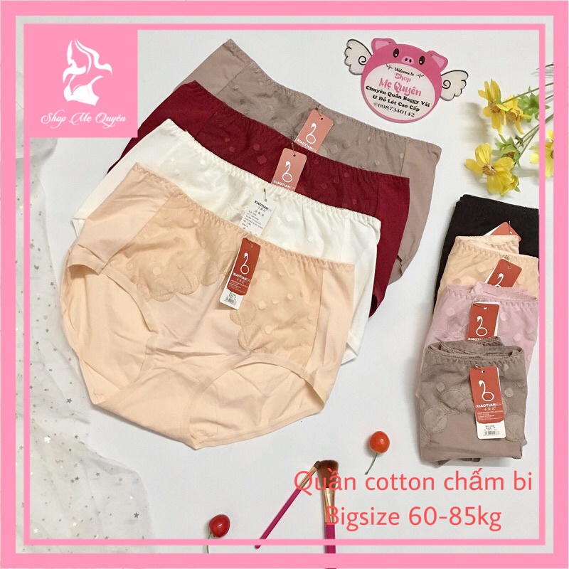 [60-85kg] Quần lót cotton phối ren bi- hàng Bigsize