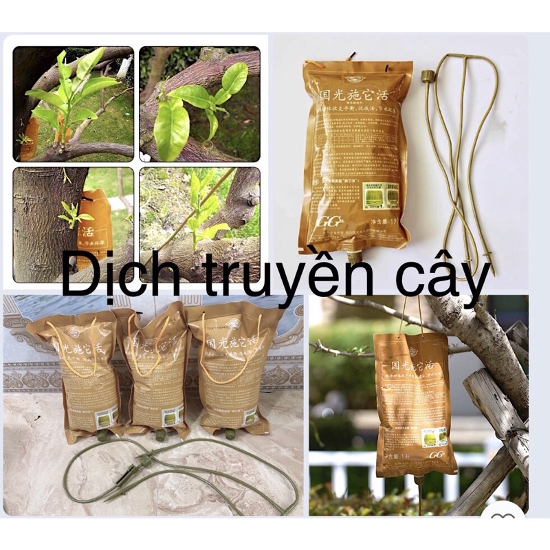 túi 1 lít dịch truyền dinh dưỡng cho cây