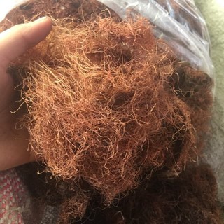 1kg râu ngô khô