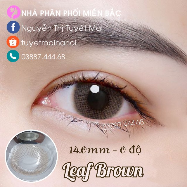 Lens màu Nâu Tây Leaf Brown 14mm 0 Độ - Kính Áp Tròng Hàn Quốc Chính Hãng Vassen Sexy Me