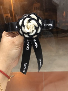 Áo sơmi trắng cộc tay