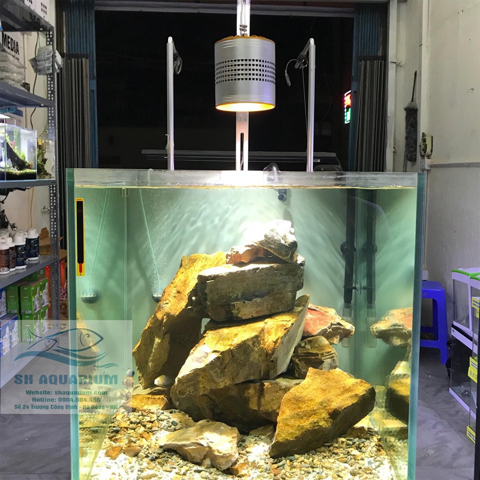 GIÁ TREO ĐÈN INOX WEEK