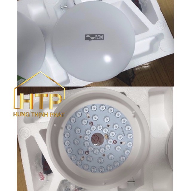 Quạt trần cao cấp AC 5 cánh ACF02D525 [HÀNG CHÍNH HÃNG]