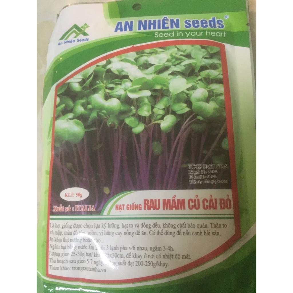 hạt giống rau mầm củ cải đỏ