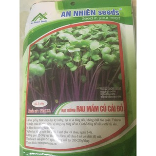 hạt giống rau mầm củ cải đỏ