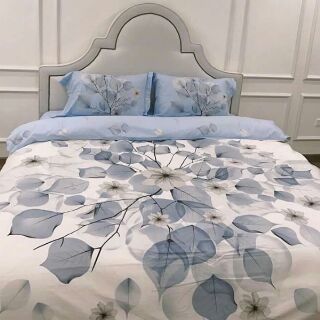 Bộ chăn ga gối cotton