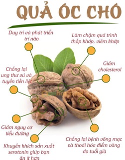 Óc chó khô cobom 2kg ( tặng kìm mở )