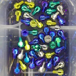 Ốc titanium GR5 6 ly 10 đầu trụ