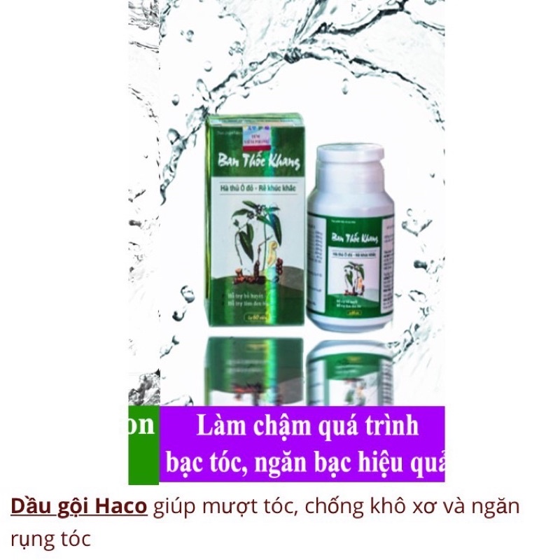 [CHÍNH HÃNG] Viên Uống Ban Thốc Khang - Haco
