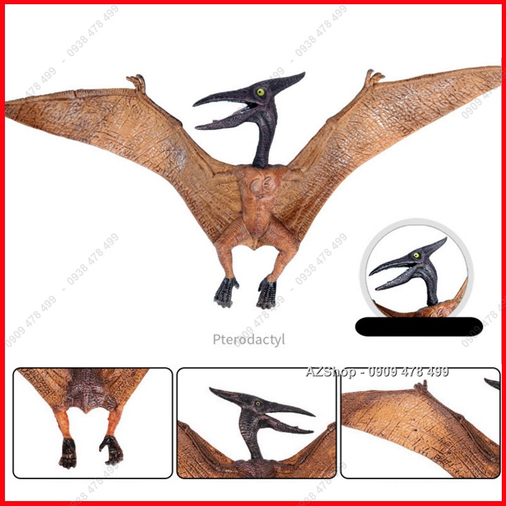 Mô Hình Thằn Lằn Bay Pteranodon Sải Cánh 22cm - Khủng Long Tiền Sử - 7748.2