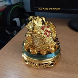 Cóc Thiềm Thừ vàng xoay