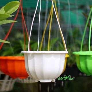 Chậu treo hoa cây kiểng mẫu trái bí kích thước 22x15cm