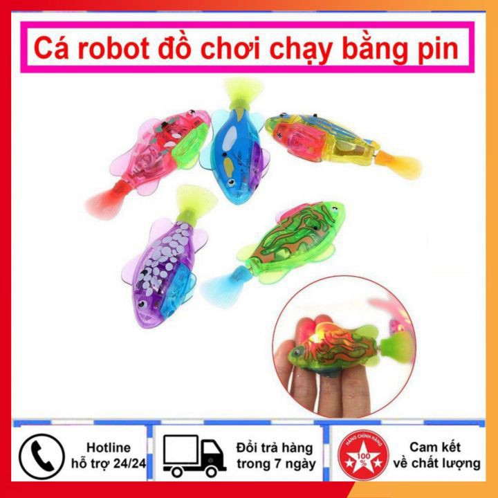 Cá robot điện tử chạy bằng pin "