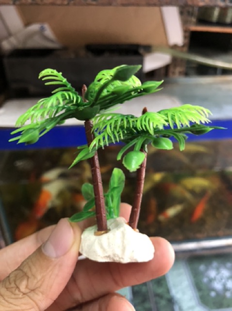 DỪA TRANG TRÍ HỒ CÁ NON BỘ CAO 7CM