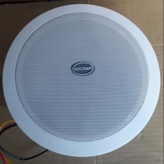 Loa âm trần 320k 1 cái