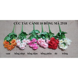cúc tàu cao cấp