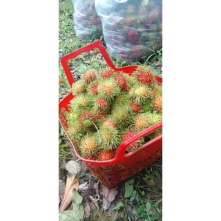Chôm chôm thái Long Khánh giòn ngọt