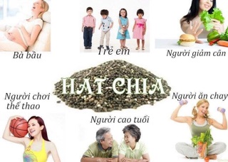 Hạt Chia Bio của Đức 300g