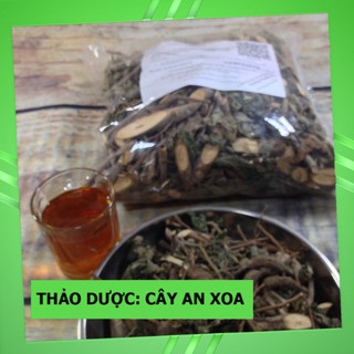 Cây An Xoa Khô 💟FREESHIP💟 Giảm Ngay 20K Khi Nhập [DUOCL20K]