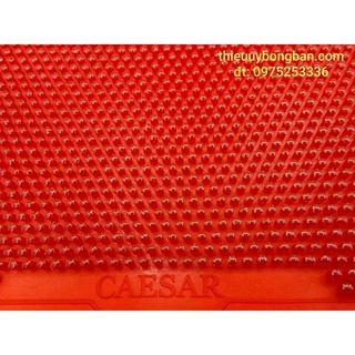 Gai caesar CS-927