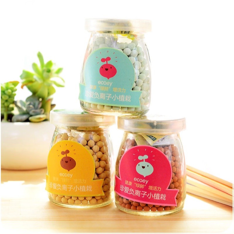 Bộ trồng cây mầm tưới nước tự nảy mầm | BigBuy360 - bigbuy360.vn