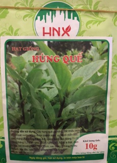 Hạt giống rau Húng Quế ☘️