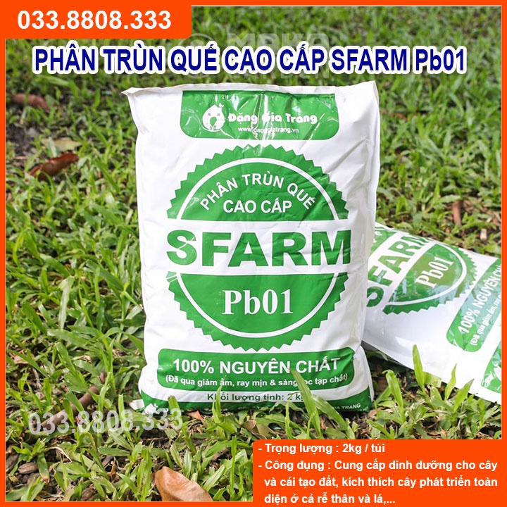 PHÂN TRÙN QUẾ SFARM PB01 KHÔNG MÙI BAO 2KG CHUYÊN DÙNG CHO RAU HOA