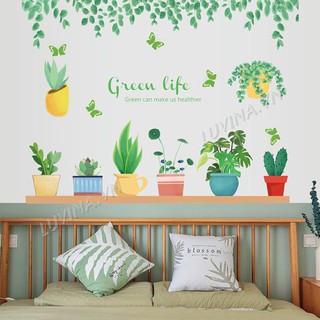 Decal dán tường trang trí văn phòng , quán cafe, phòng khách- Chậu cây xanh