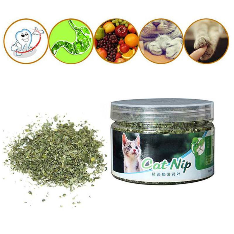 Cỏ bạc hà khô cho mèo cưng chất lượng